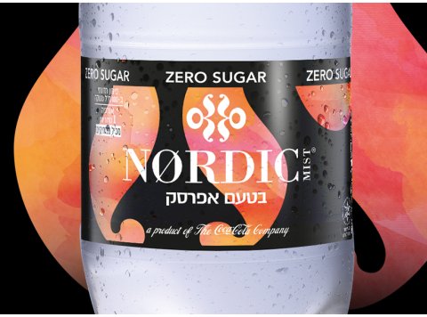 פרוייקטים בירה